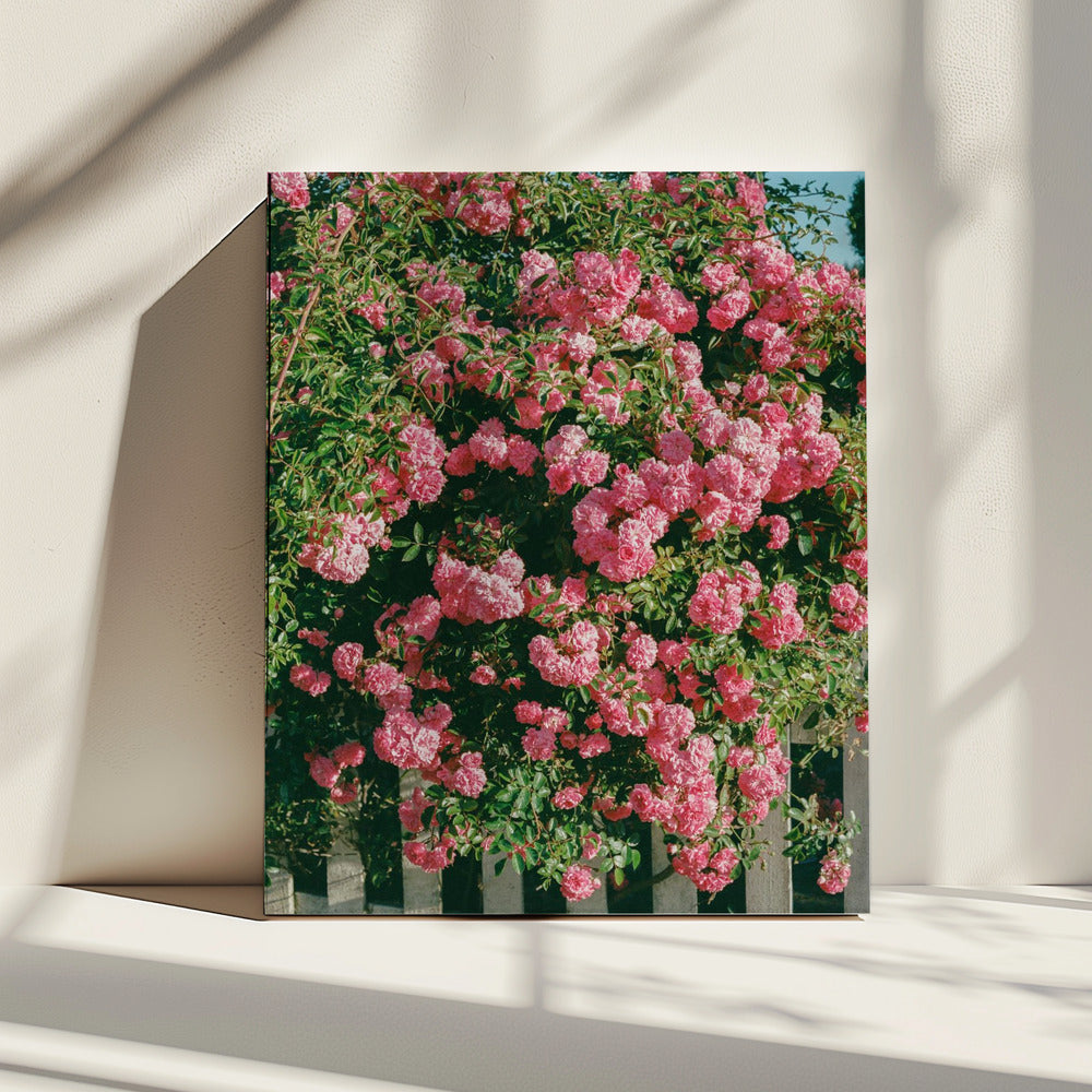 Cannon Beach Blooms | Leinwand