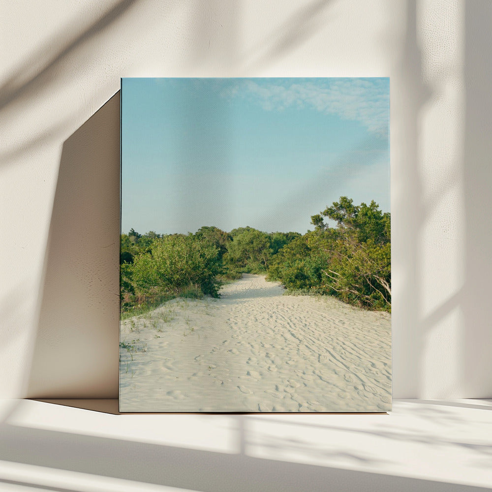 Sullivans Insel | Leinwand