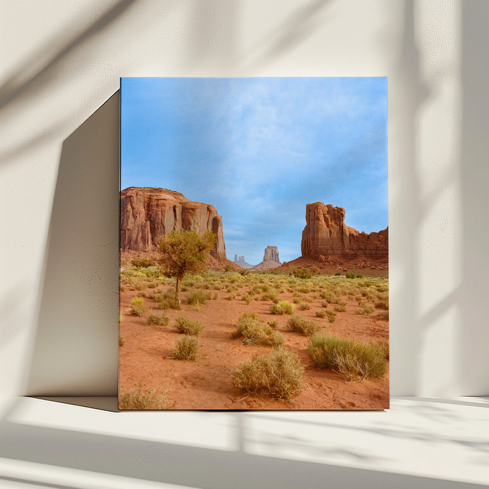 Monument Valley XII | Leinwand