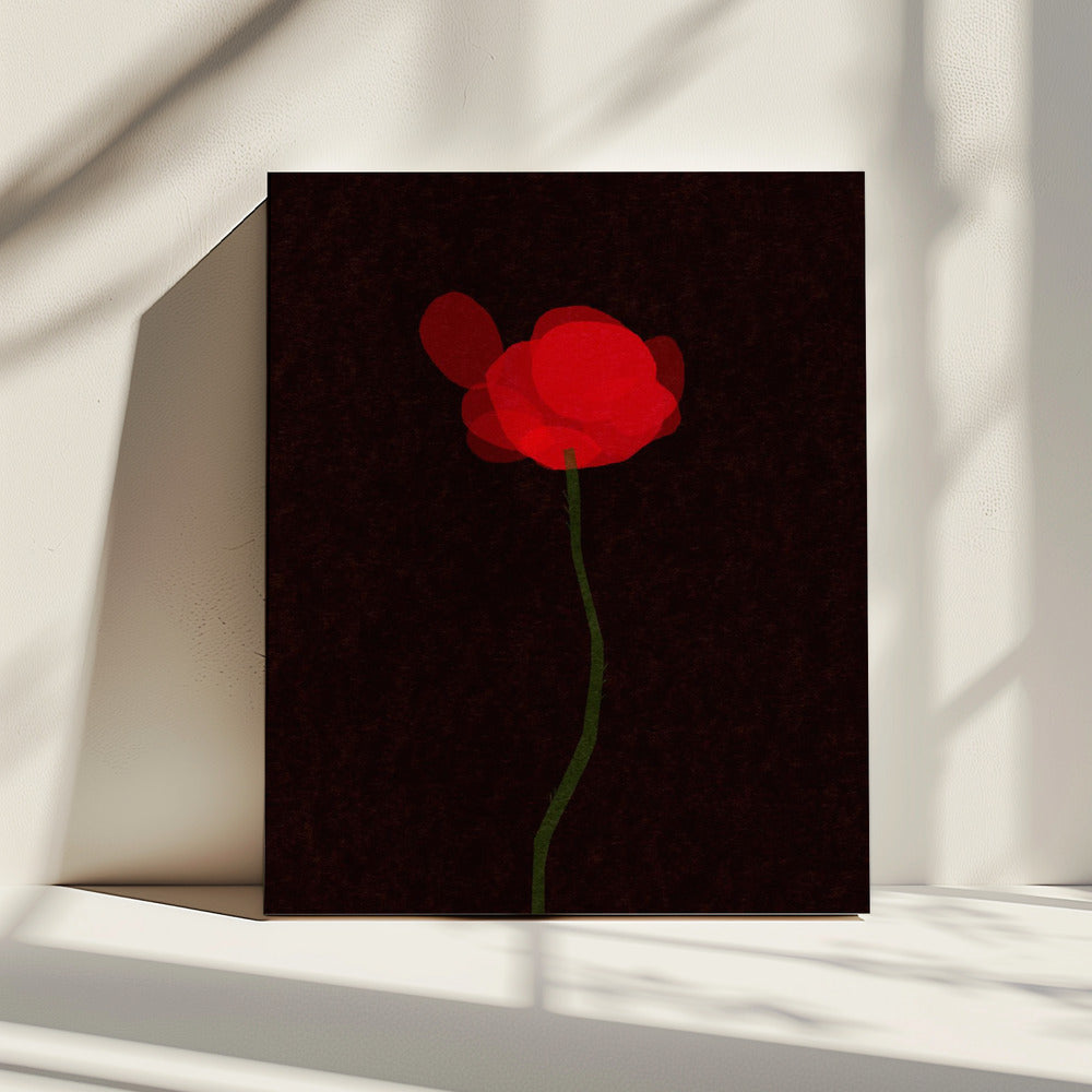 Mohn | Leinwand