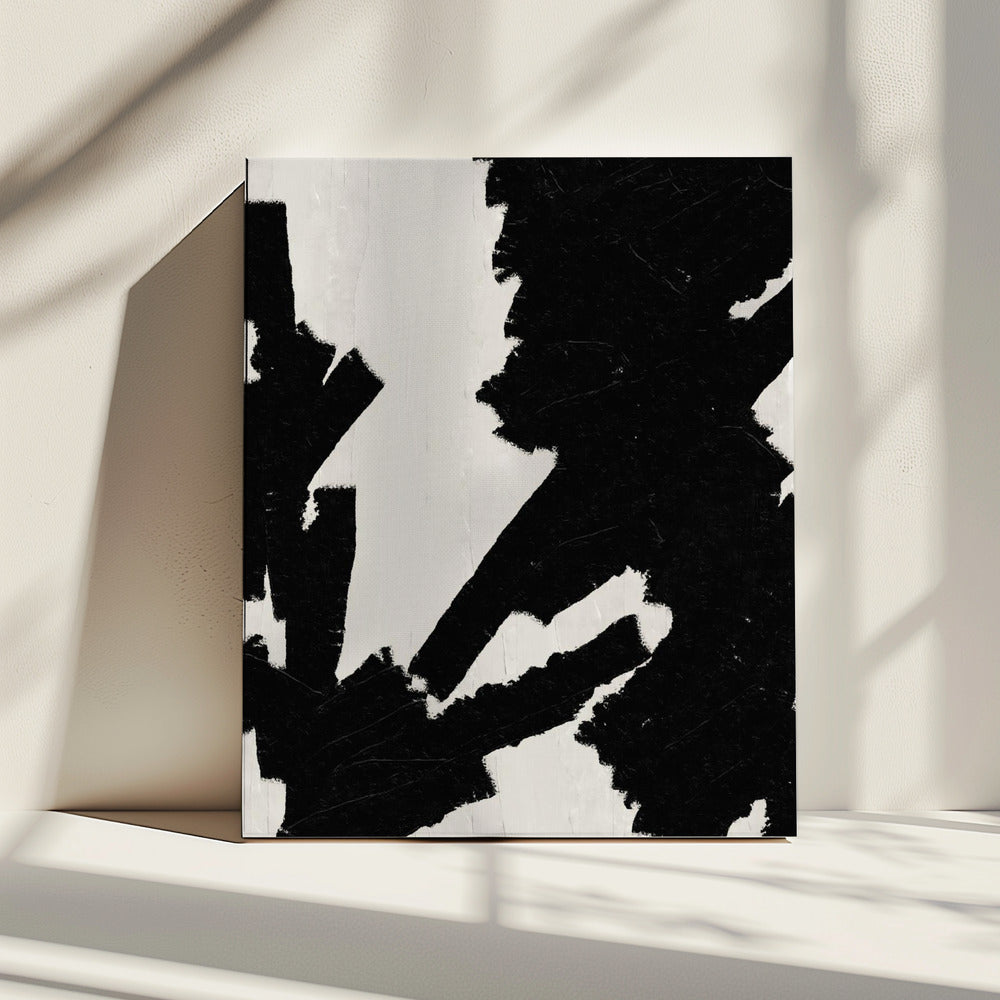 Bold Contrast Canvas | Canvas