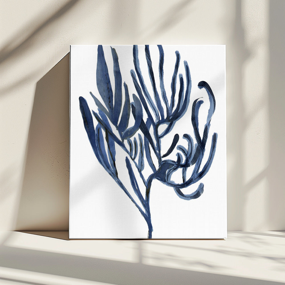 Blaues Wasserpflanzen-Poster 3 | Leinwand