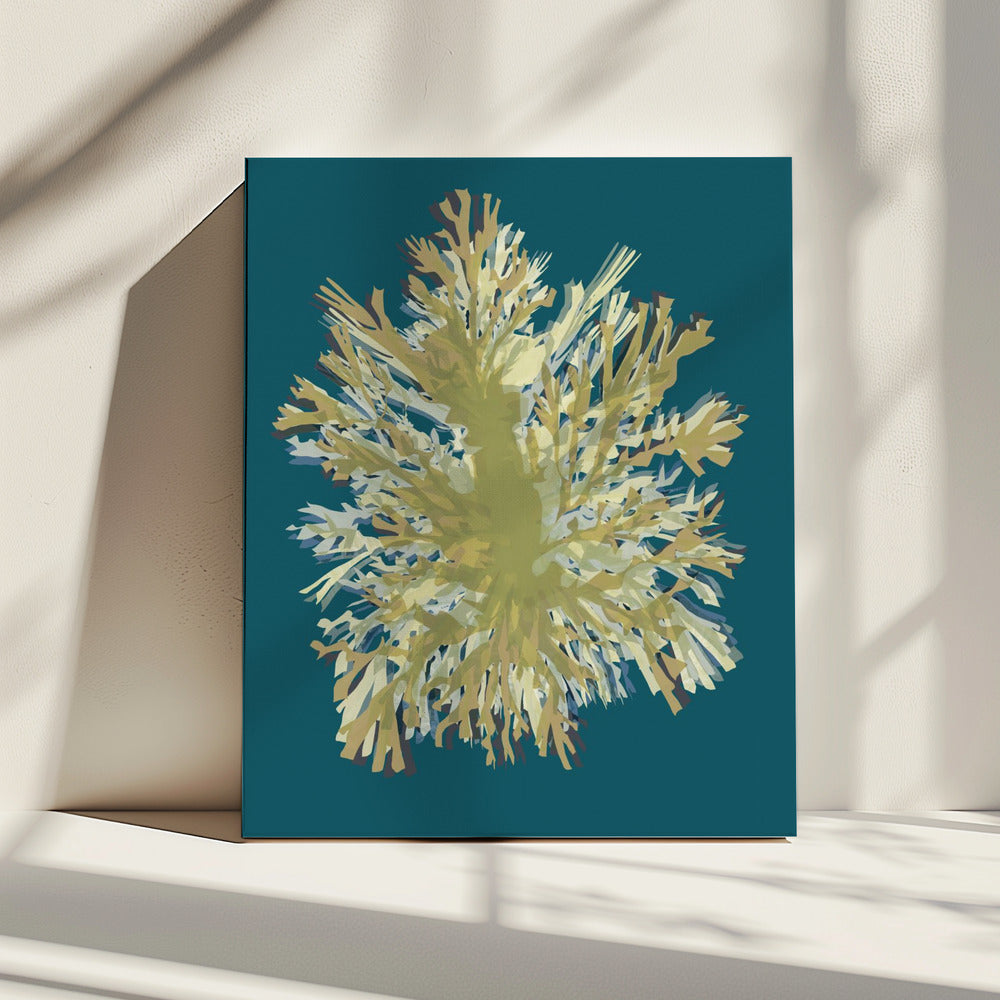Seaweed Poster 1 | Canvas
