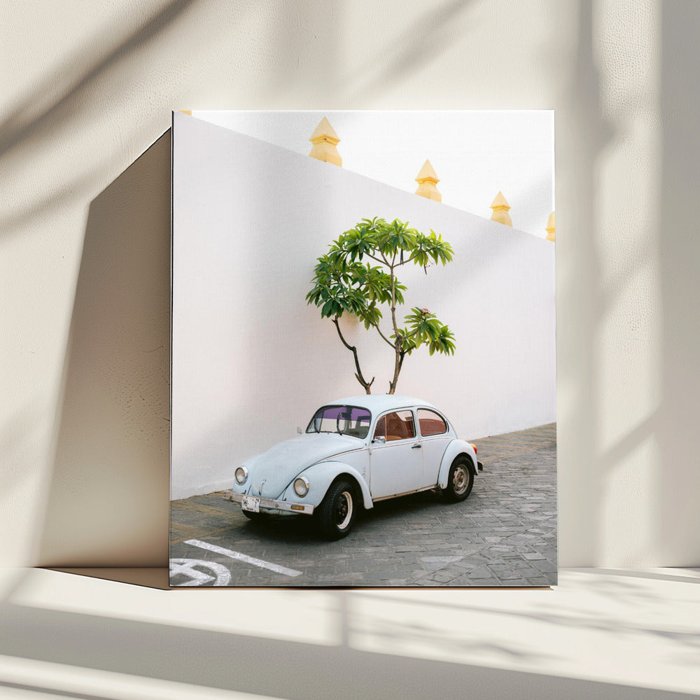 Pastellfarbener Volkswagen Käfer in den Straßen von Oaxaca, Mexiko | Leinwand