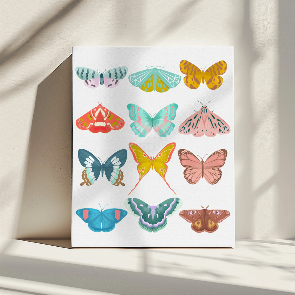 Schmetterling | Leinwand