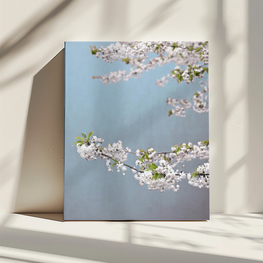 Bunter Frühling 14 | Leinwand
