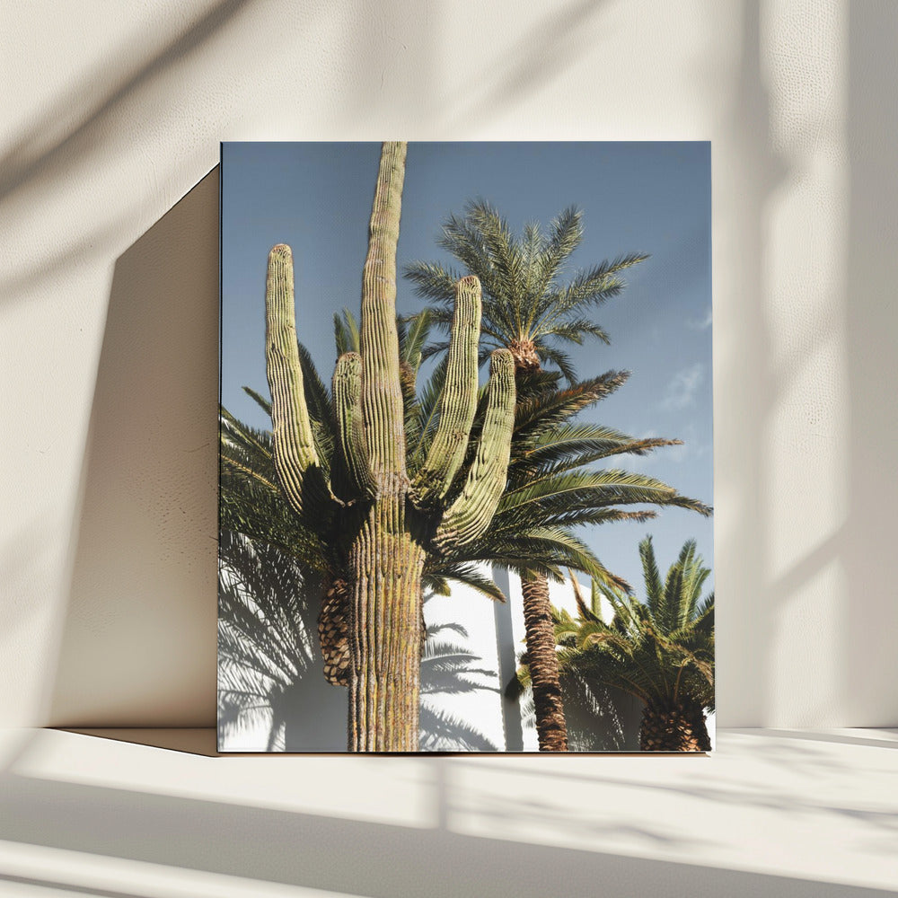 Kaktus Las Vegas | Leinwand