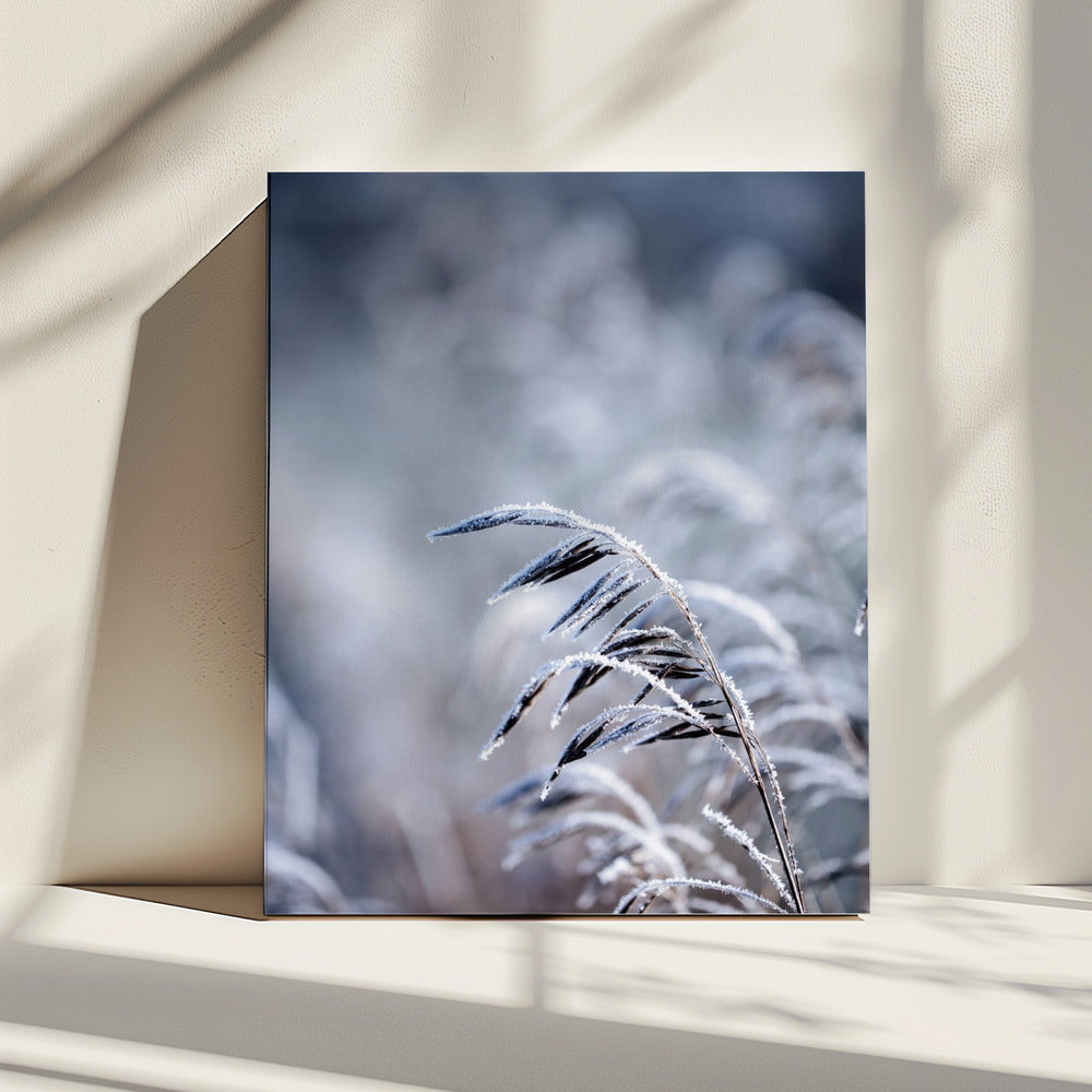 Frostiger Morgen 5 | Leinwand
