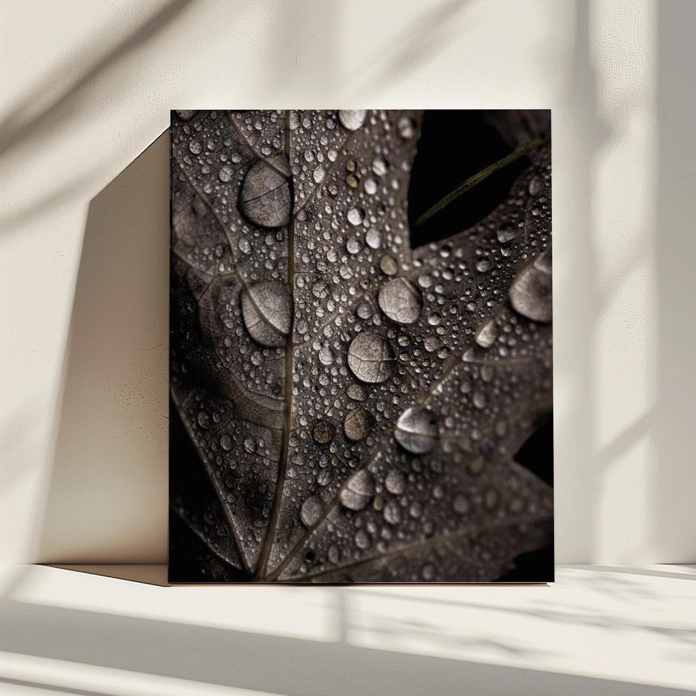 Regenfall | Leinwand