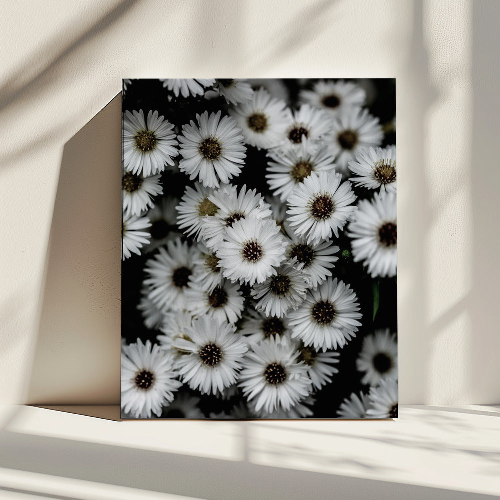 Kleine Blumen 3 | Leinwand