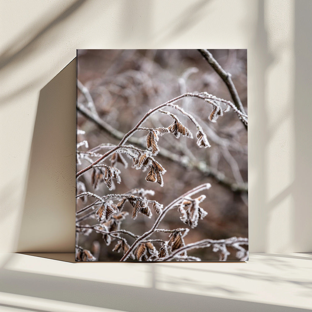 Winterzweige 18 | Leinwand