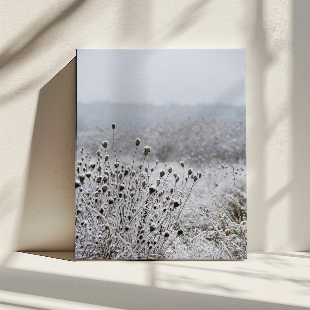 Winterfeld 4 | Leinwand