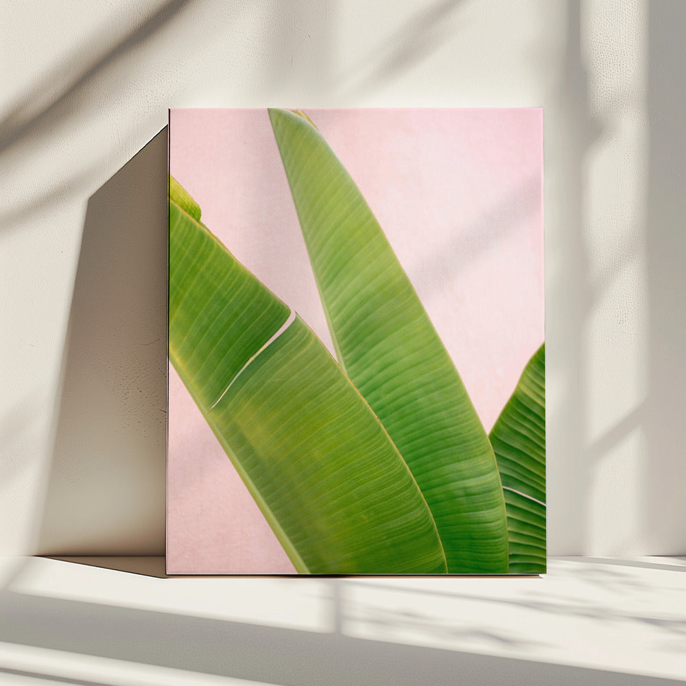 Merida Grün auf Pink | Leinwand