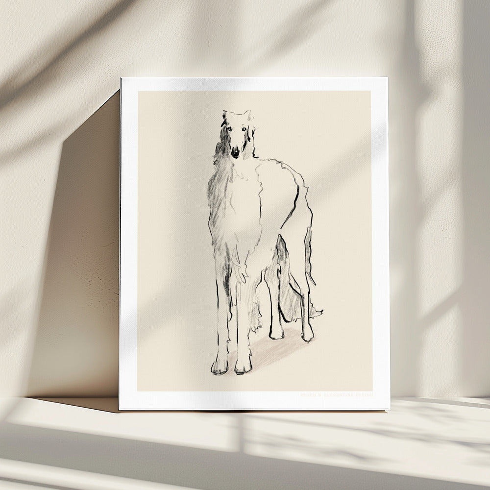 Barsoi Russischer Wolfshund Pandc | Leinwand