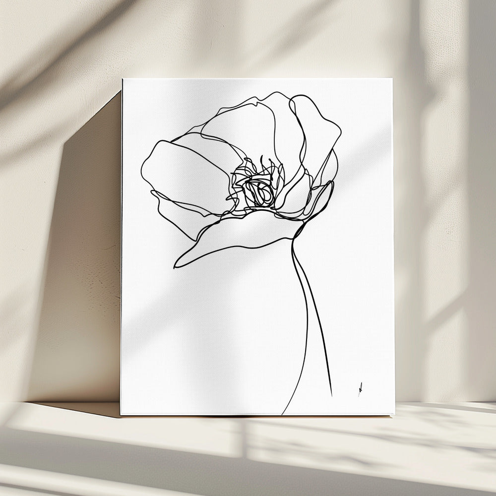 Mohn in einer Linie | Leinwand