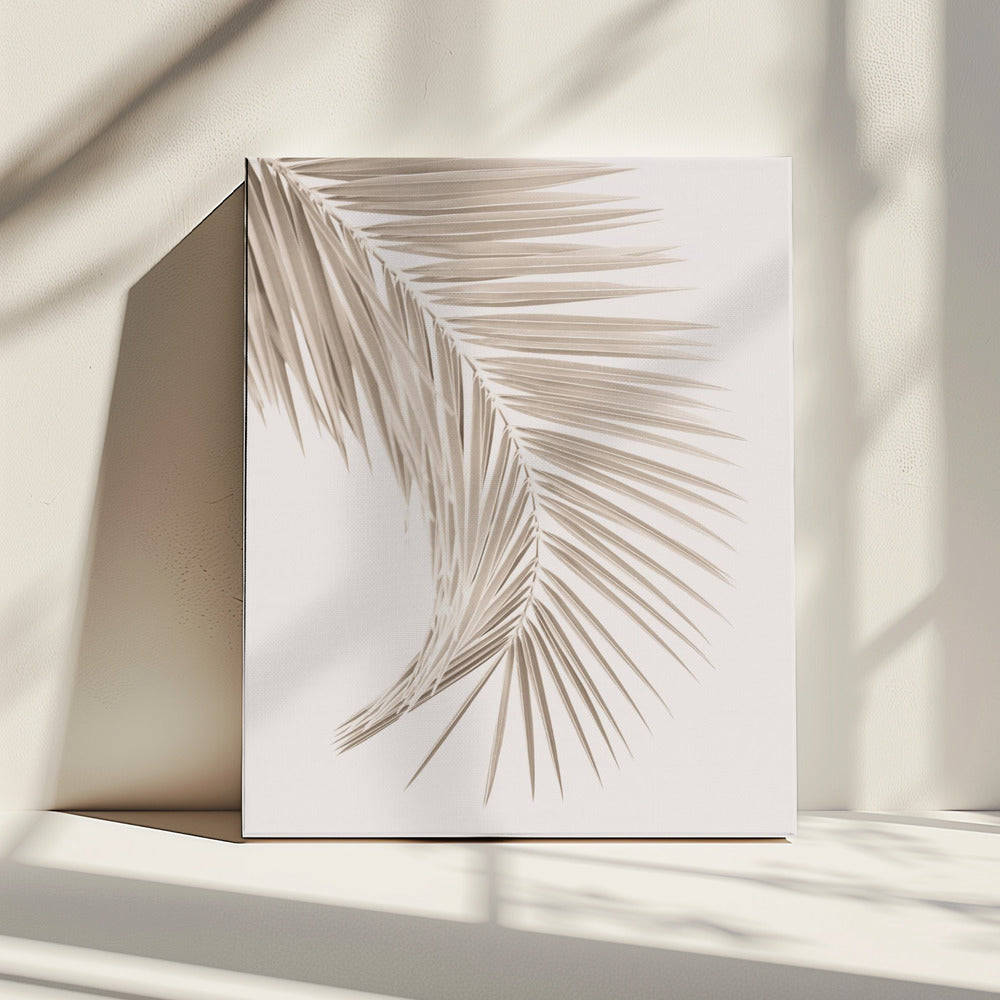 Tan Leaf | Canvas