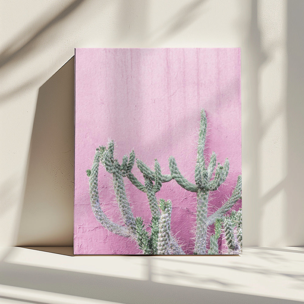 Kaktus auf Rosa | Leinwand