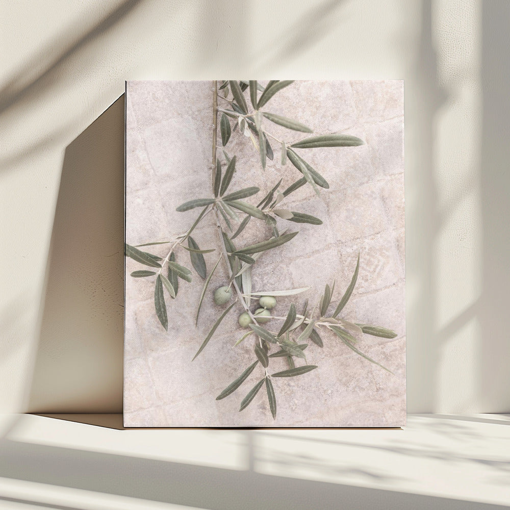 Spanish Tiles | Canvas