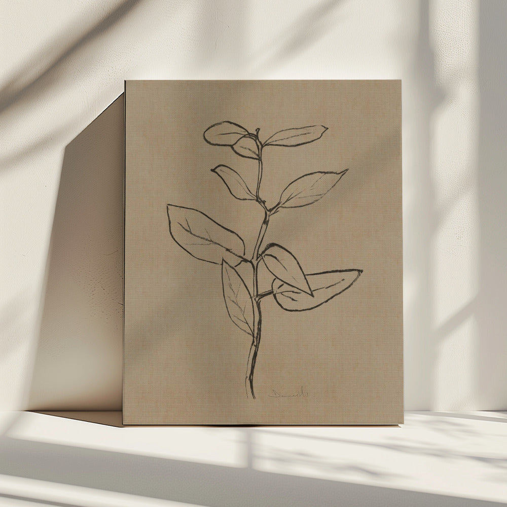 Eucalyptus Sapling | Canvas