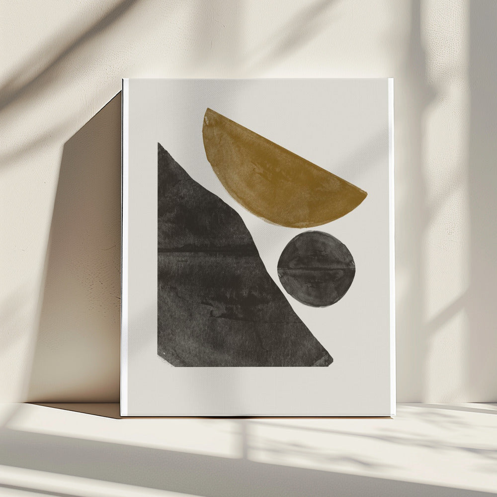 Shapes in Harmony | Canvas