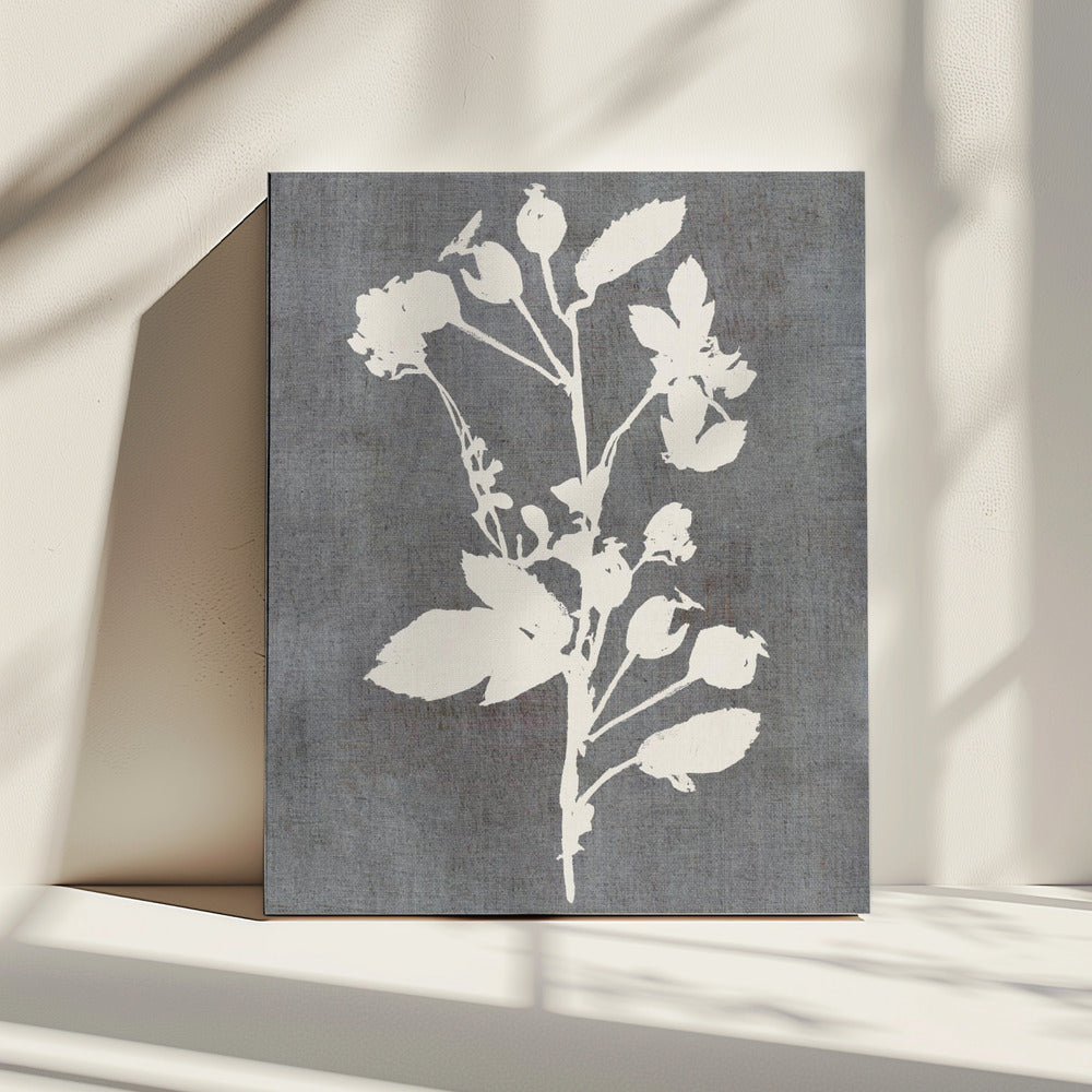 Botanische Illustration 6 | Leinwand