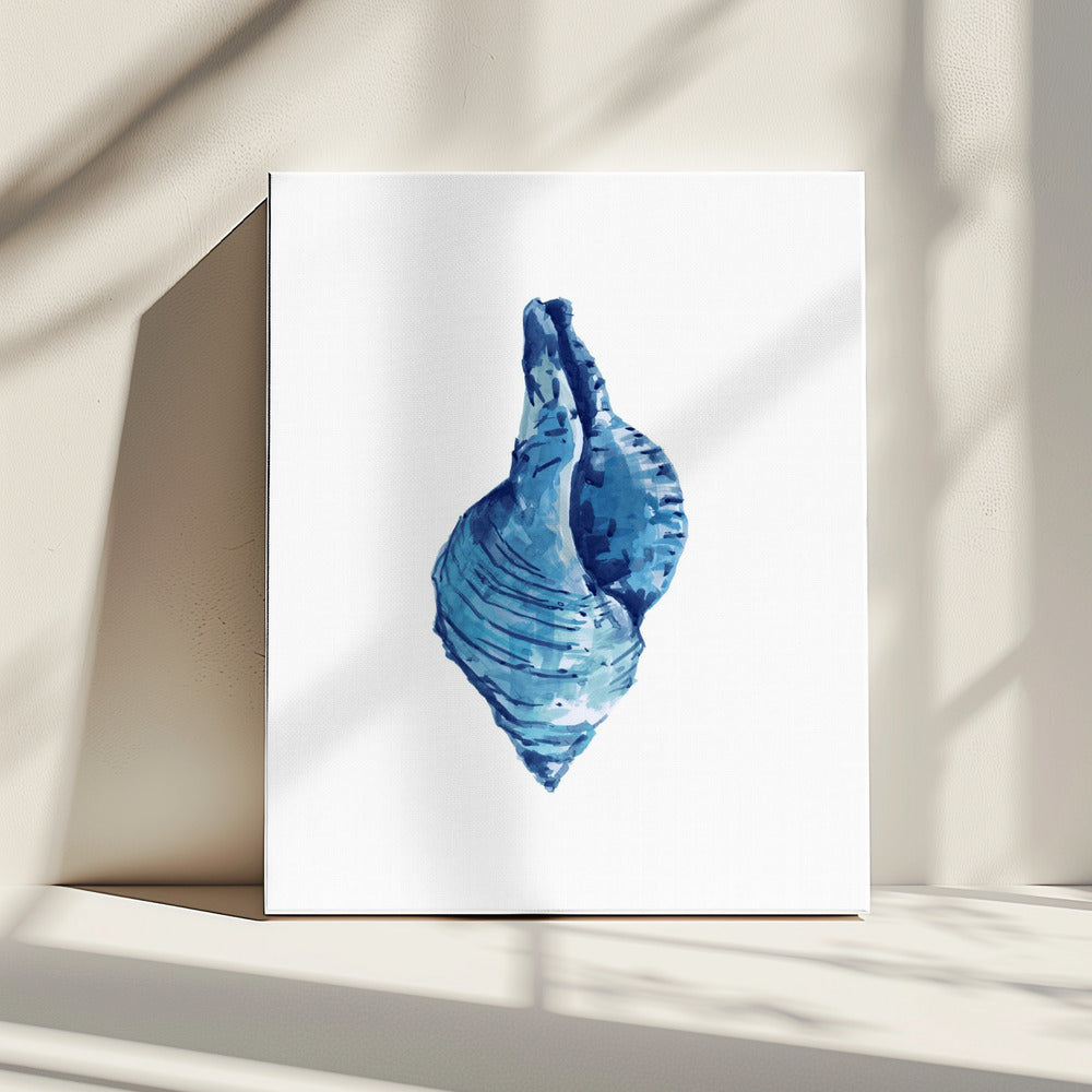 Blaue Muschel auf weißem Hintergrund Nr. 3 | Leinwand