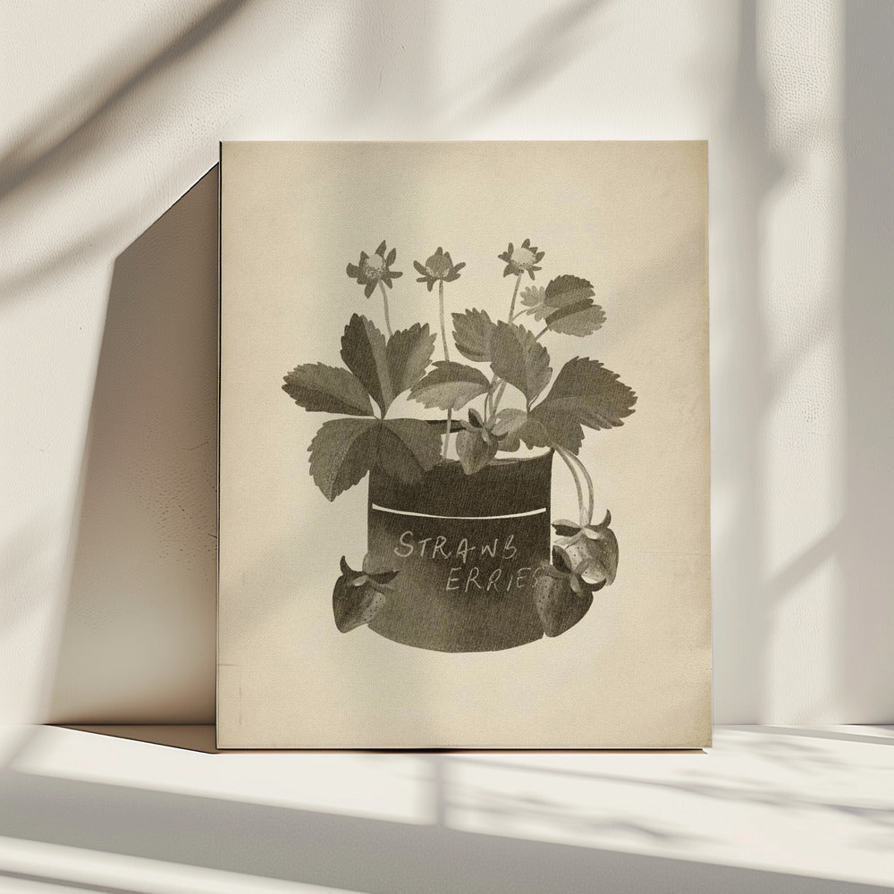 Vintage Erdbeerpflanze | Leinwand