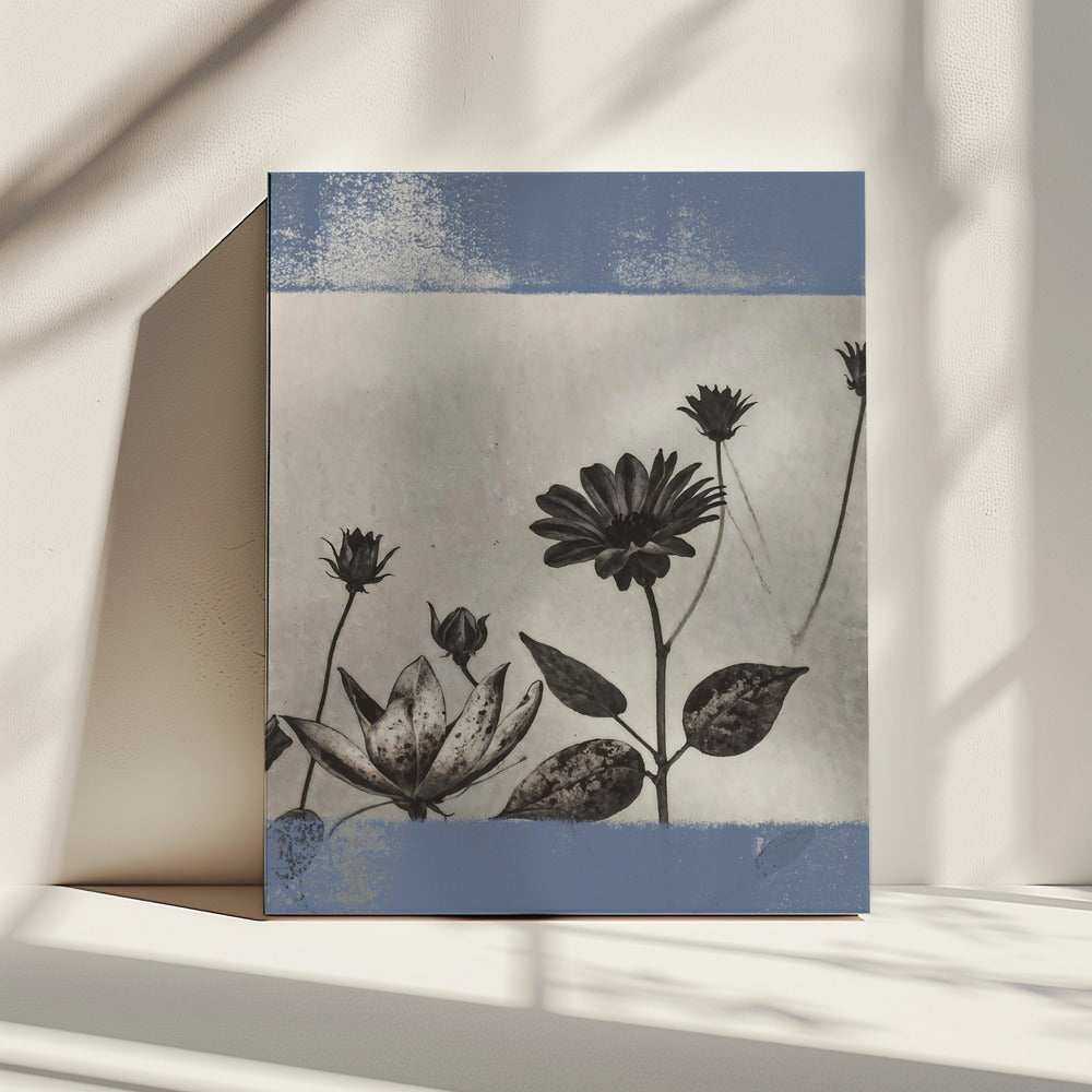 Vintage Blumen Nr. 8 | Leinwand