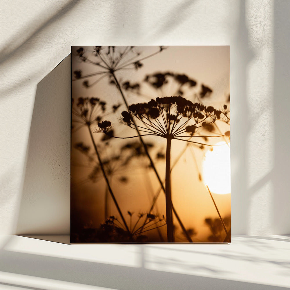 Goldene Stunde 1 | Leinwand