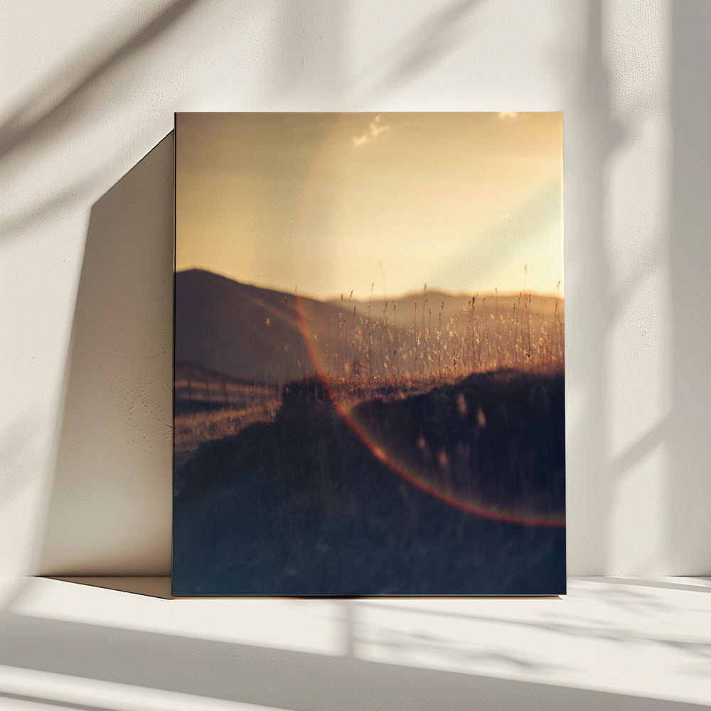 Golden Horizon Glow | Canvas