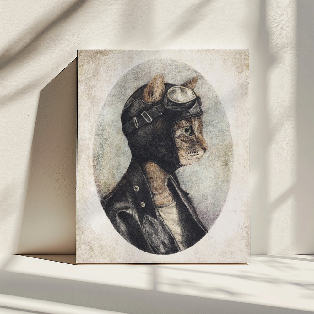 Stilvolle Katze trägt eine Lederjacke | Leinwand
