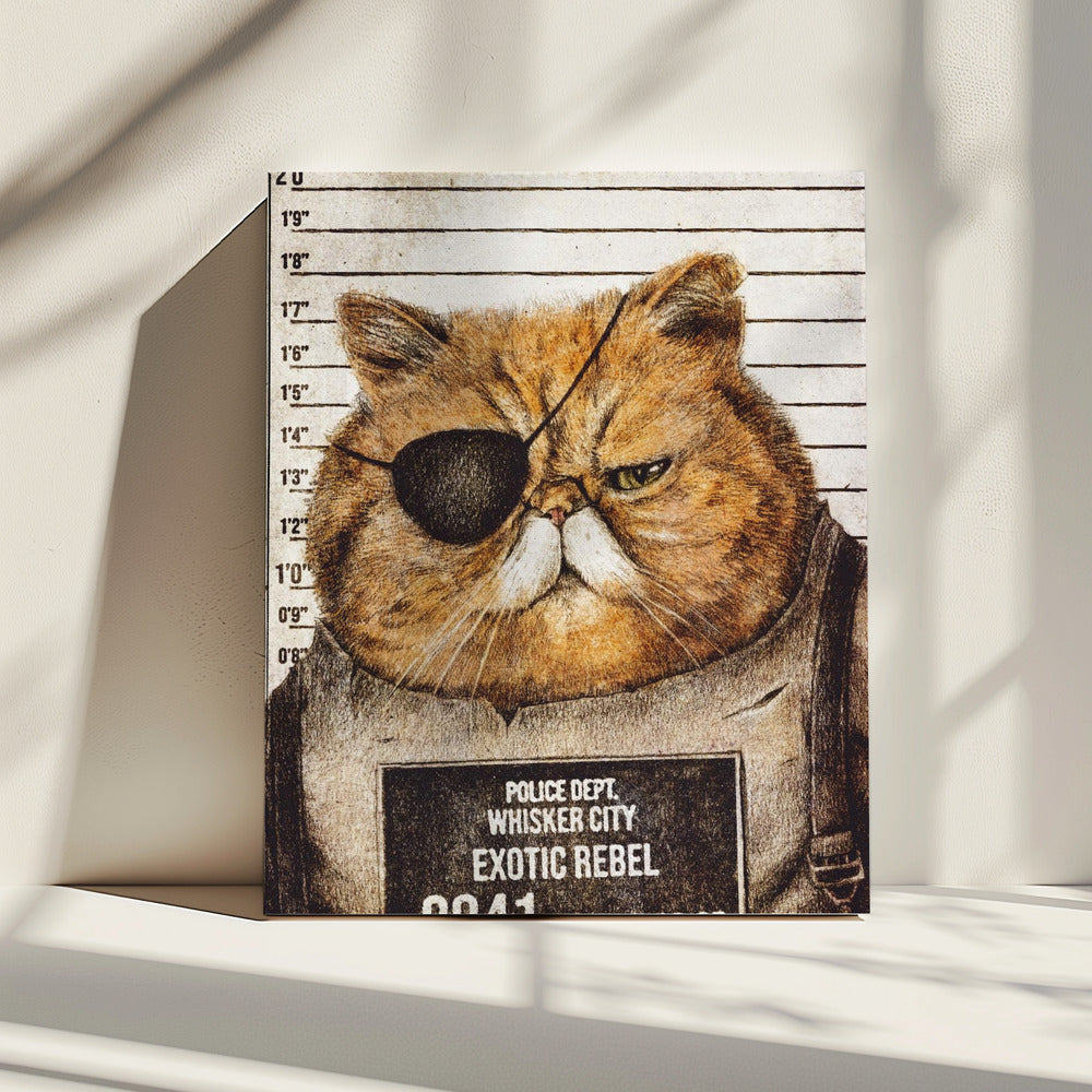 Lustige Katze | Leinwand