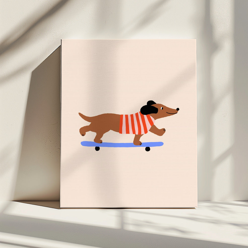 Dackel auf Skateboard | Leinwand