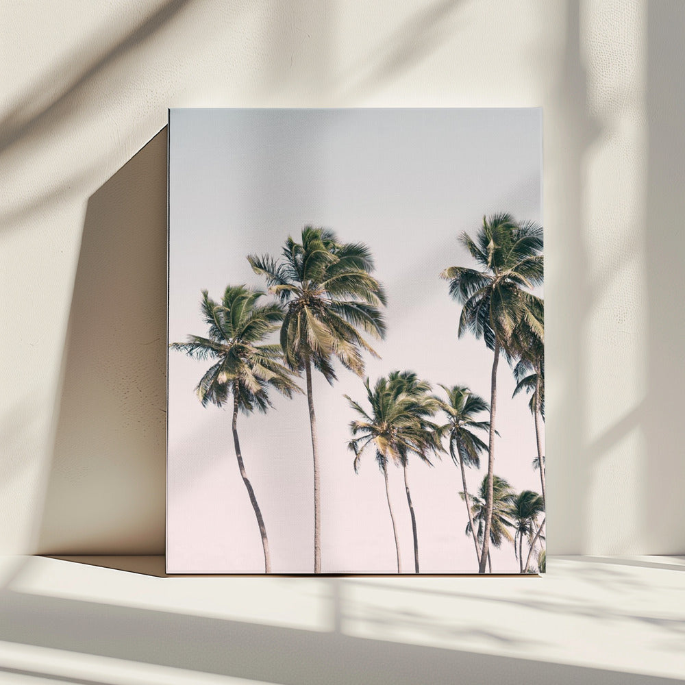 Blush Tropische Bäume | Leinwand