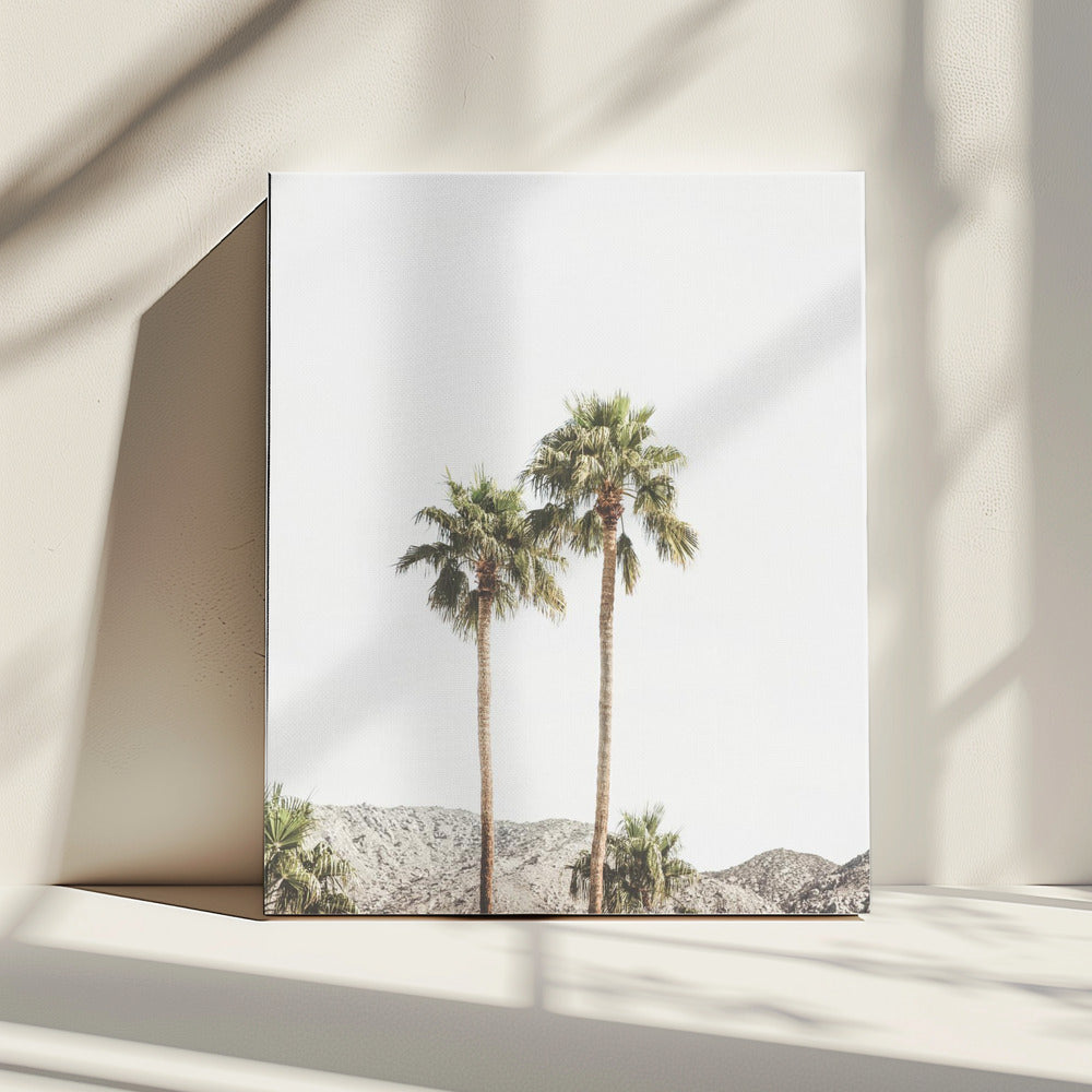 Palm Springs Palmen | Leinwand