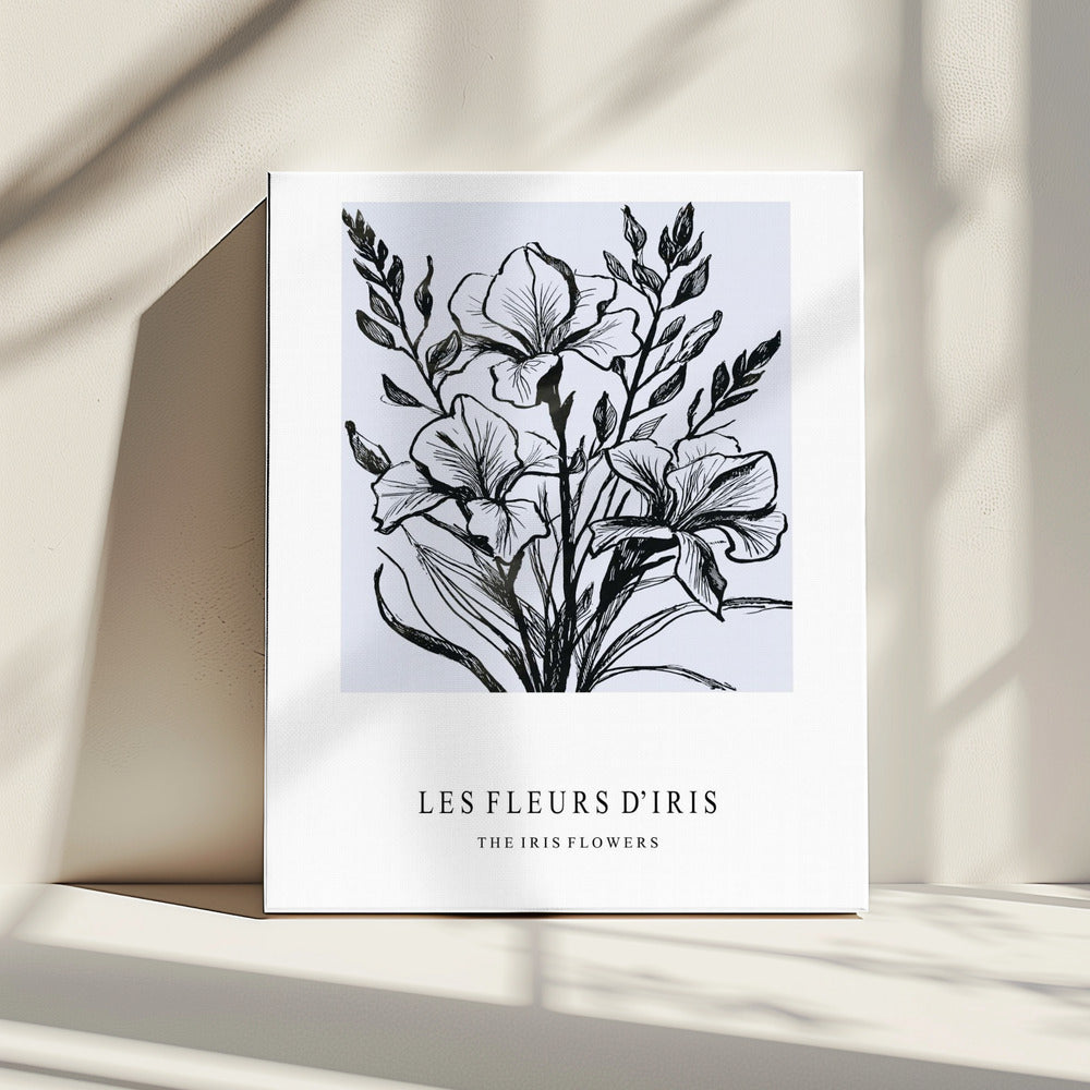 Irisblüten in einer monochromen Illustration | Leinwand