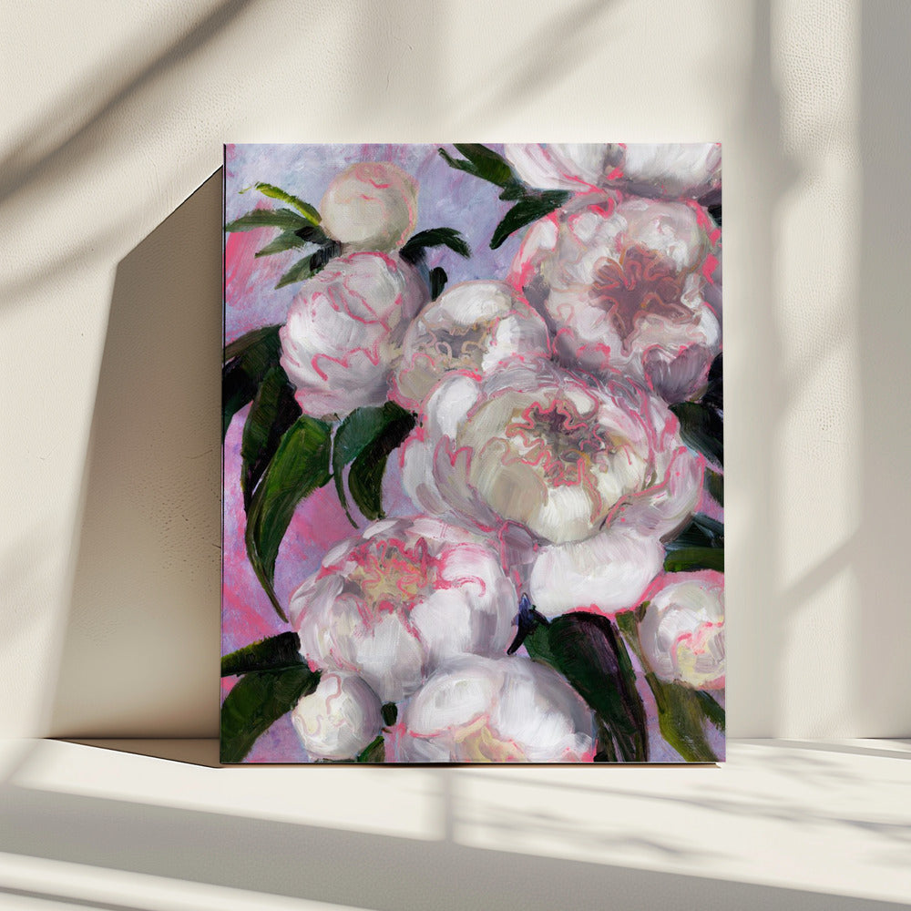 Weiße Pfingstrosen mit rosa Highlights | Leinwand