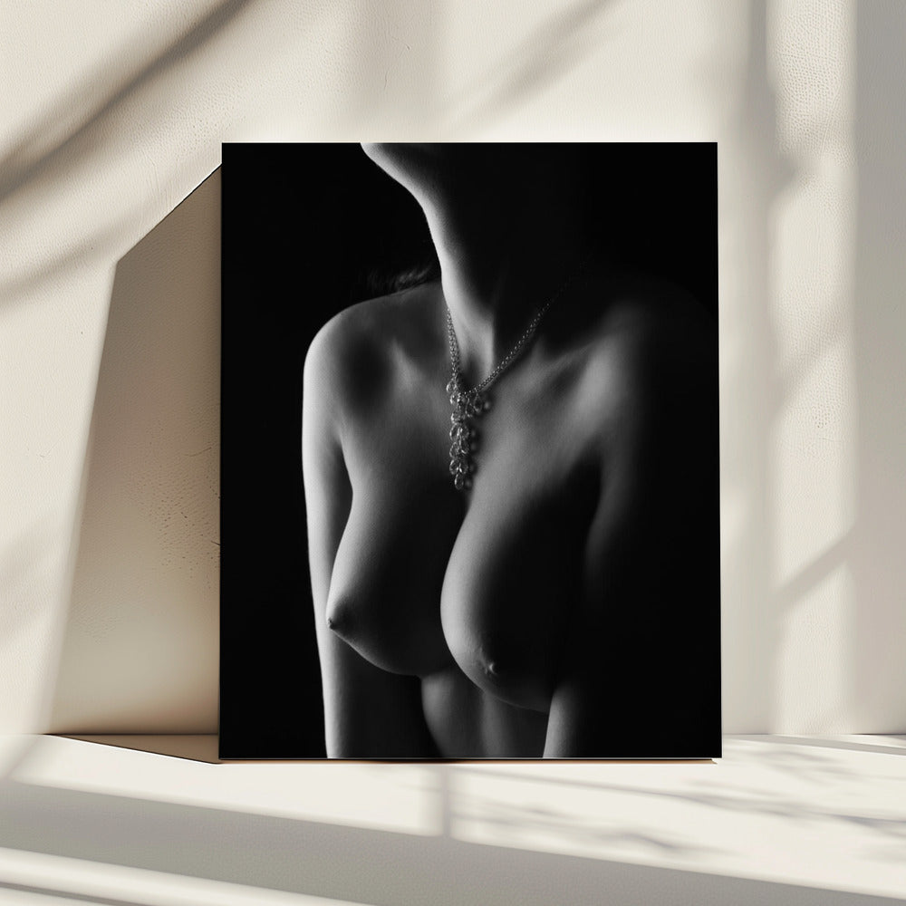 Nackte Kurven | Leinwand