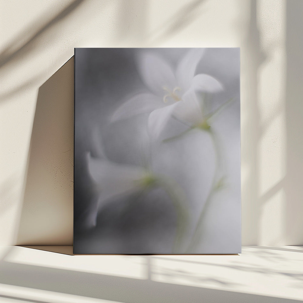 Bells | Canvas