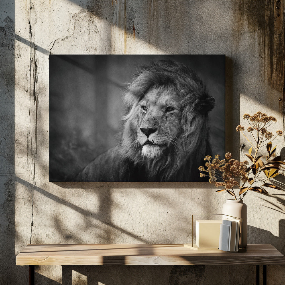 Regal | Leinwand
