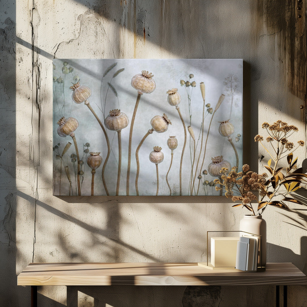 Papaver | Leinwand