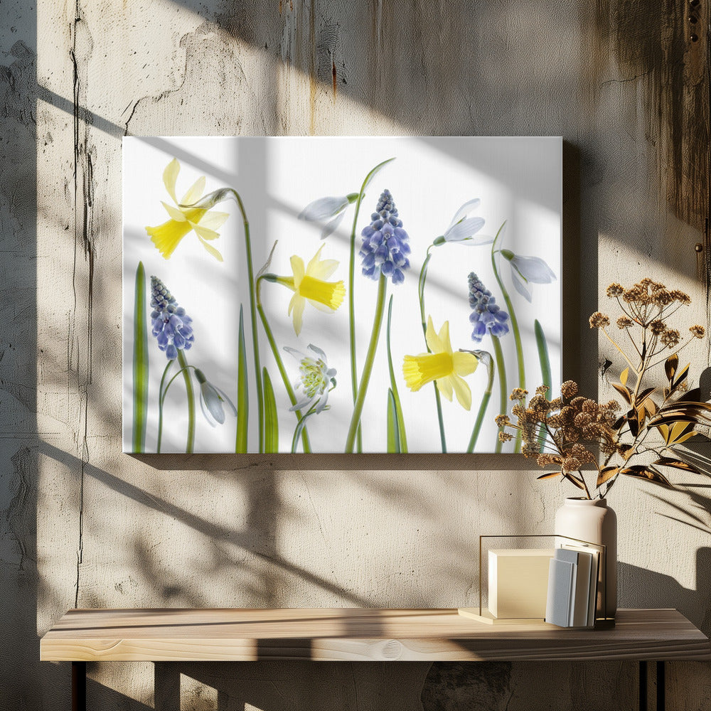 Frühling | Leinwand