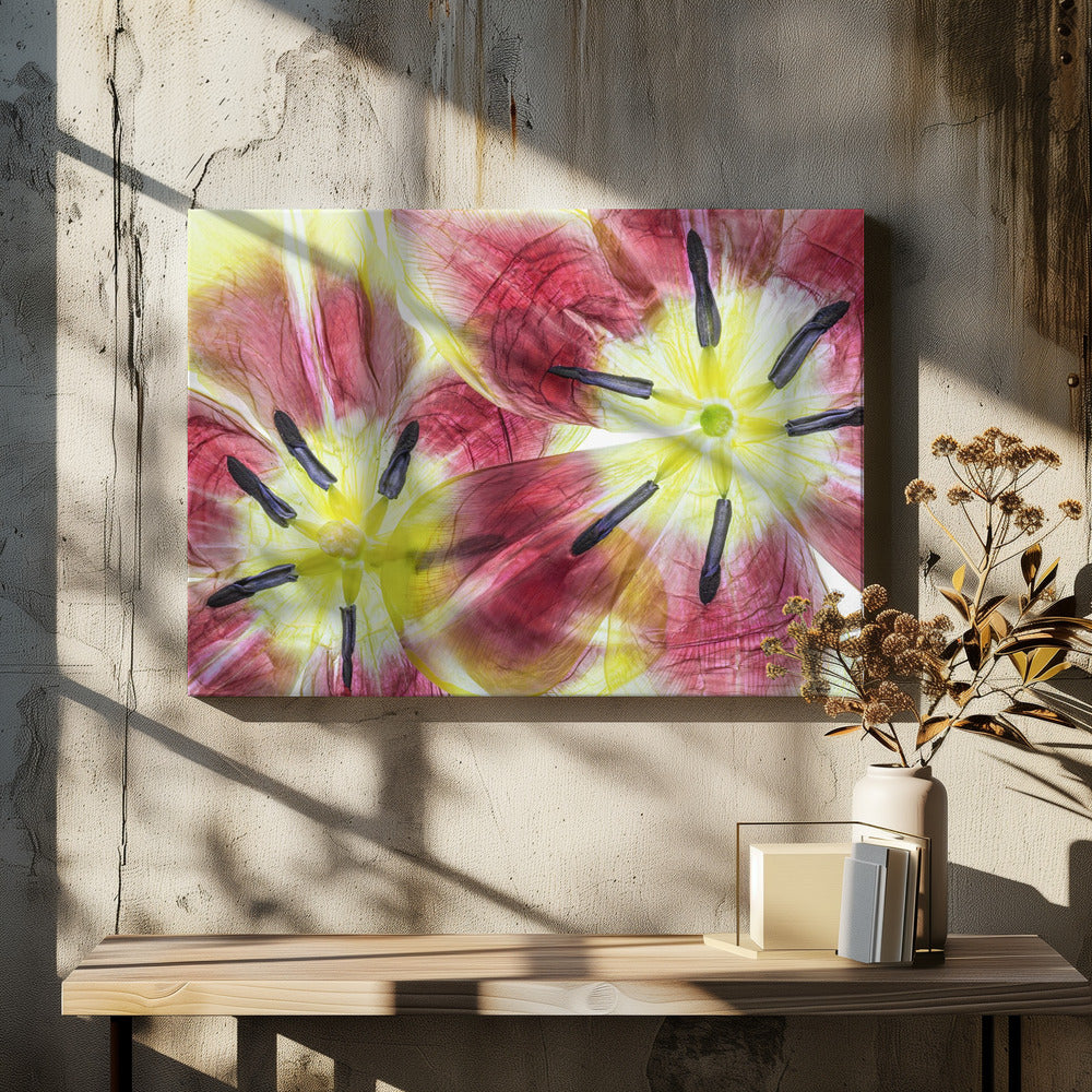 Tulpen | Leinwand