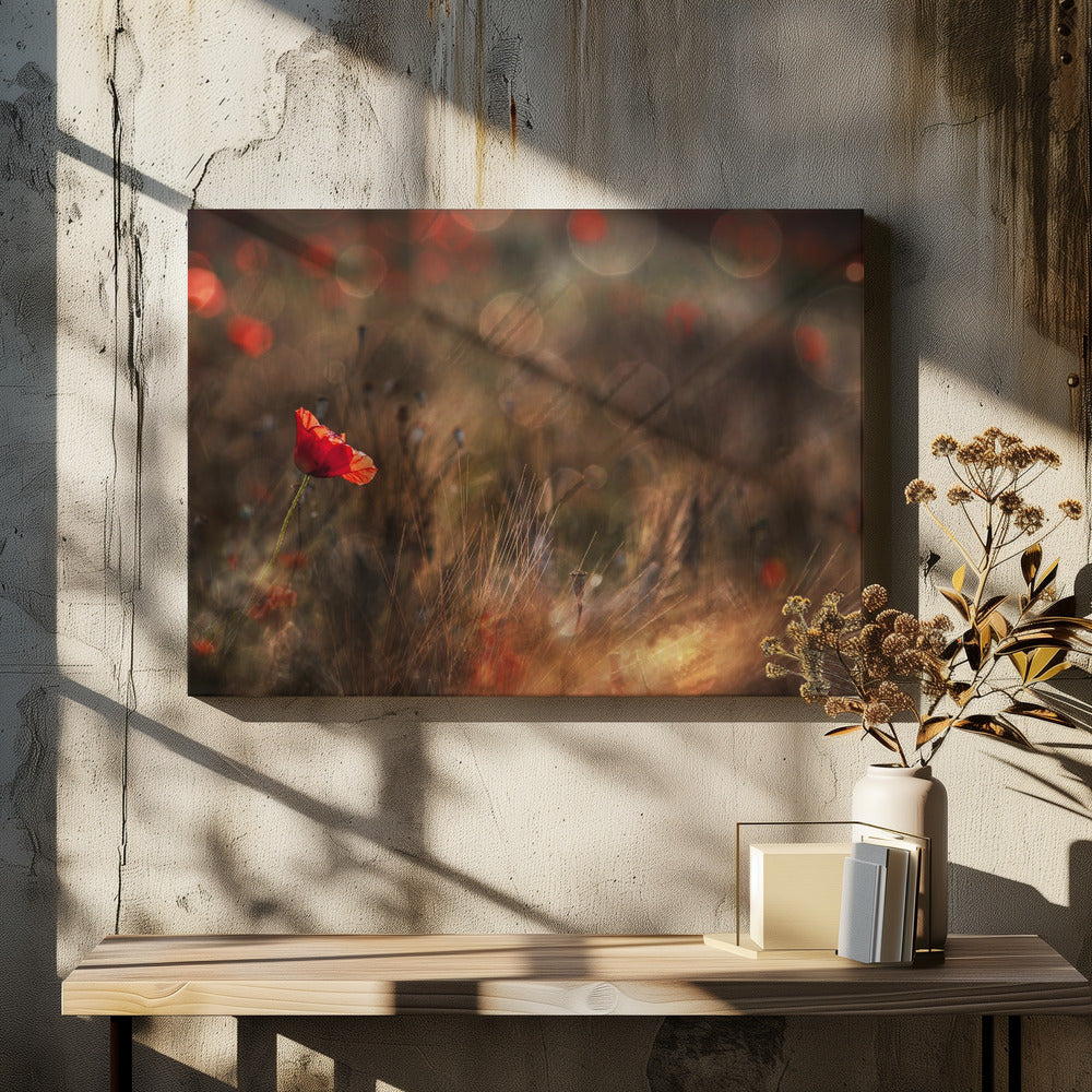 Mohn | Leinwand