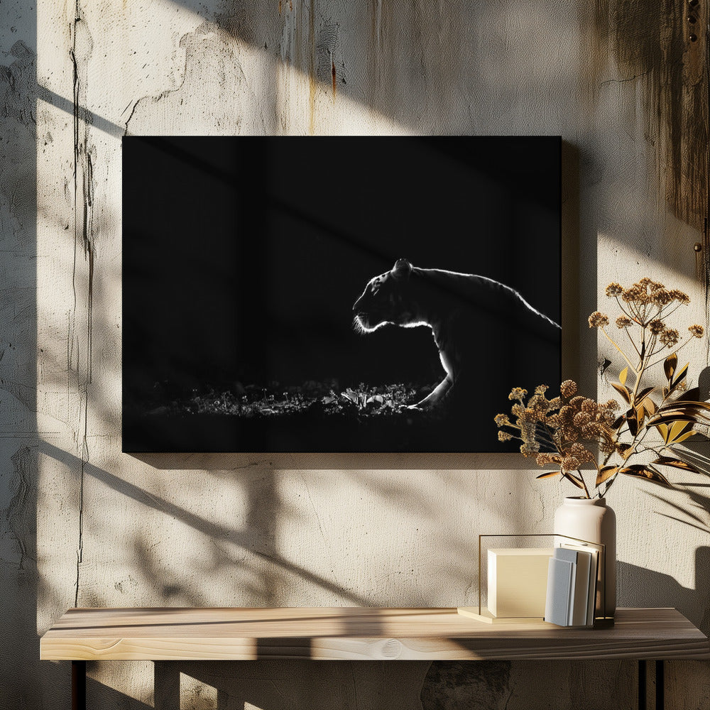 Ohne Titel | Leinwand
