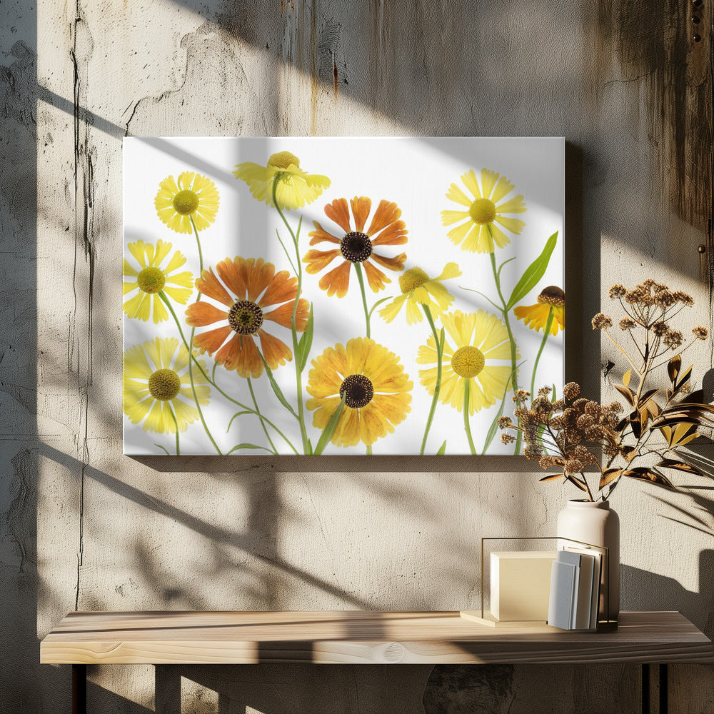 Helenium | Leinwand