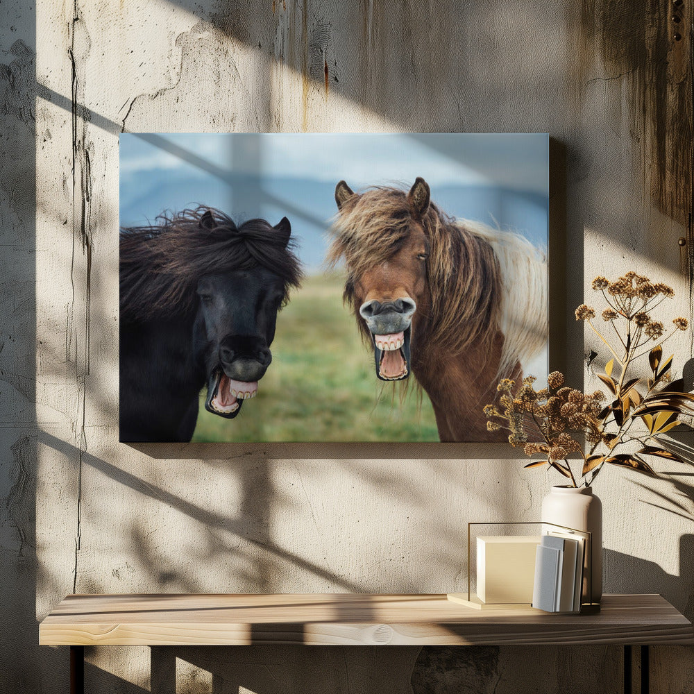 WILD SMILE | Canvas
