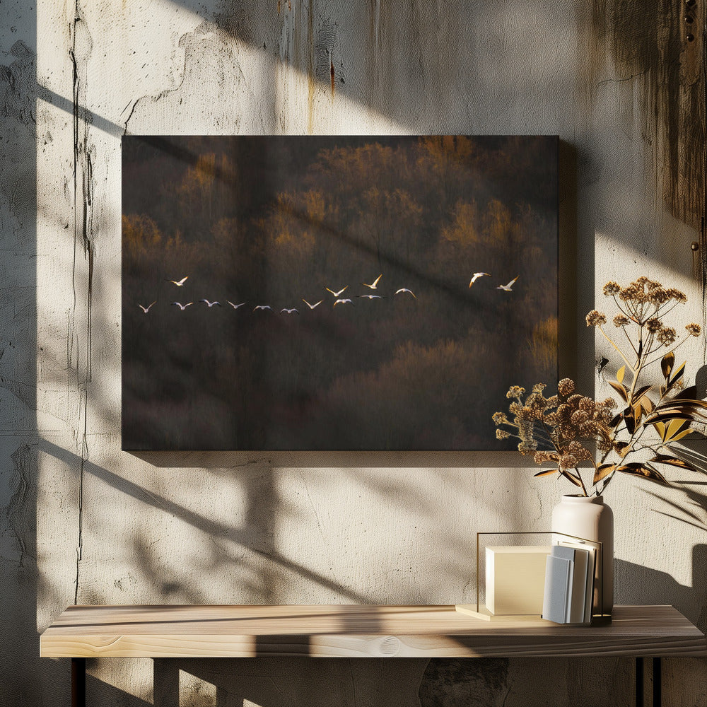 Morning Mood | Canvas