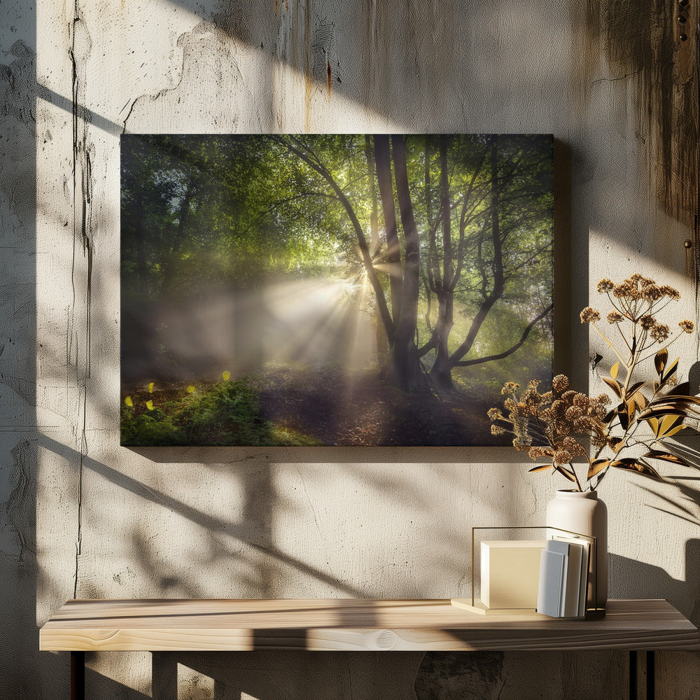 Das Morgenlicht | Leinwand