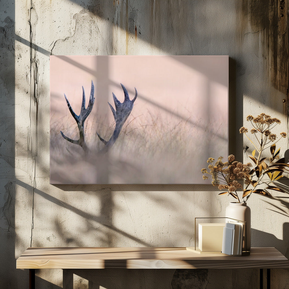 Hide & Seek  ( Horn of Stag) | Canvas